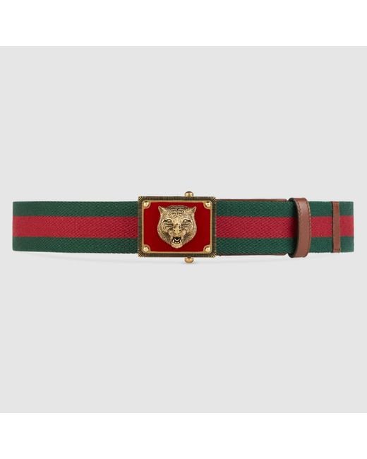 Shop by category ultrathin stock pvc coated nylon webbing polyvinyl blue and red coated polyester webbing safety belts tpu coated webbing it's on the webbing surface coated a tpu plastic. mainly used in pet collar and leash, harness, safe belt, chin strap and so on.